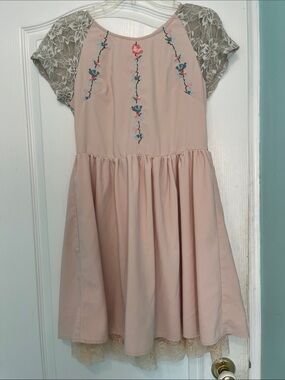 Blush Pink Lace-Sleeve Embroidered kawaii dream Dress